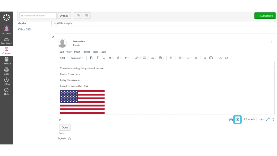 Animated GIF of clicking the Canvas Accessibility Check tool.