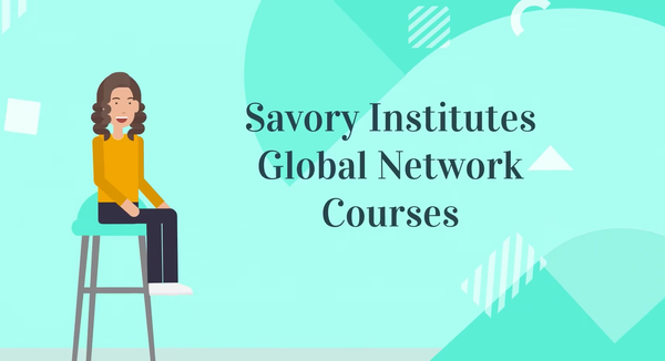 Animated character promoting Savory Institutes Global Network Courses while sitting on a stool with blue background.